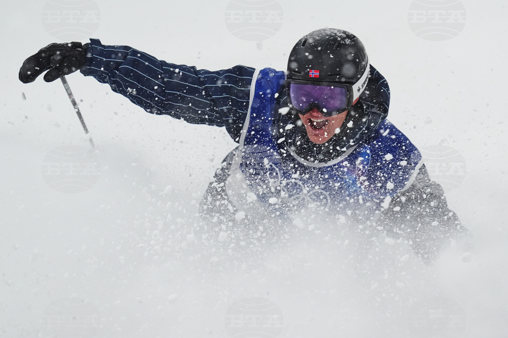 Milan Cortina Olympics Freestyle Skiing