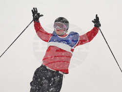 Milan Cortina Olympics Freestyle Skiing