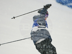 Milan Cortina Olympics Freestyle Skiing