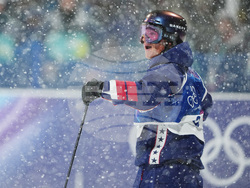 Milan Cortina Olympics Freestyle Skiing