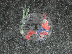 Milan Cortina Olympics Freestyle Skiing