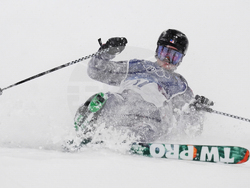 Milan Cortina Olympics Freestyle Skiing