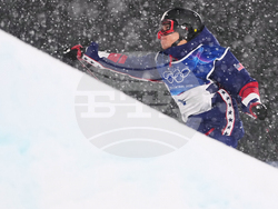 Milan Cortina Olympics Freestyle Skiing