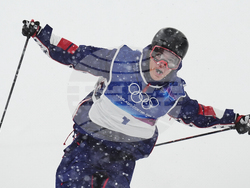 Milan Cortina Olympics Freestyle Skiing