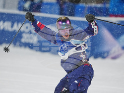 Milan Cortina Olympics Freestyle Skiing