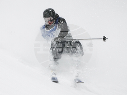 Milan Cortina Olympics Freestyle Skiing