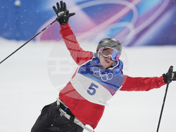 Milan Cortina Olympics Freestyle Skiing