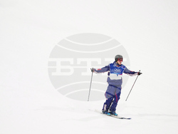 Milan Cortina Olympics Freestyle Skiing