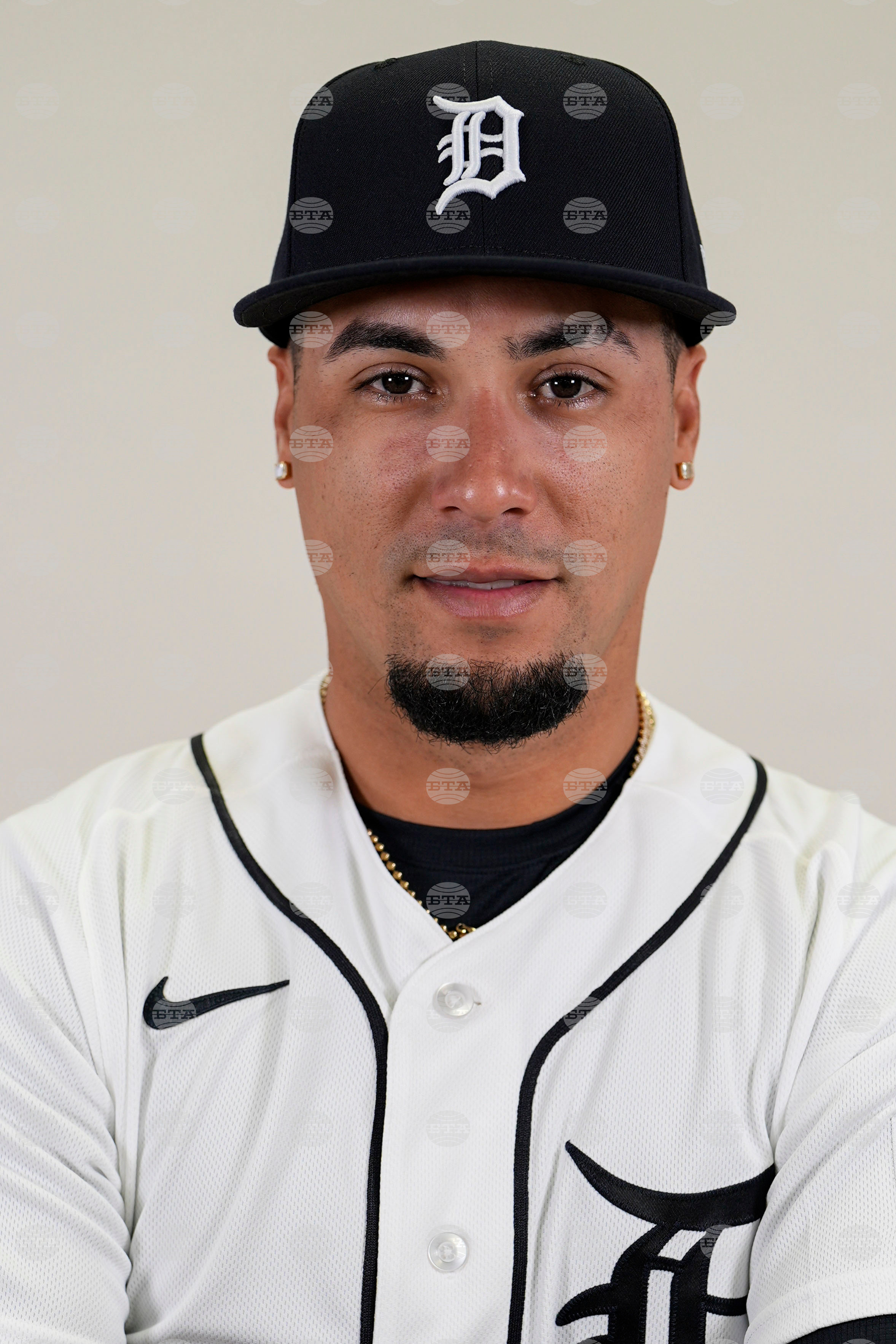 Tigers 2026 Baseball