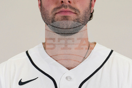 Tigers 2026 Baseball