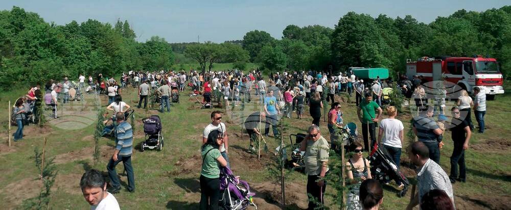 В Димитровград за дванадесета поредна година садят дръвчета на името на новородени