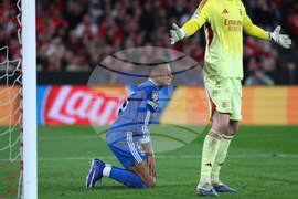 Portugal Soccer Champions League