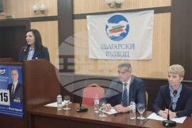 Плевен - Стефан Янев - Български възход