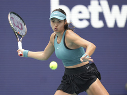 Miami Open Tennis