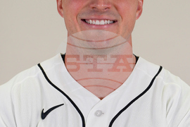 Tigers 2026 Baseball