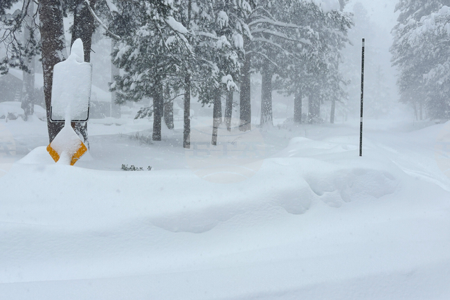 California Avalanche