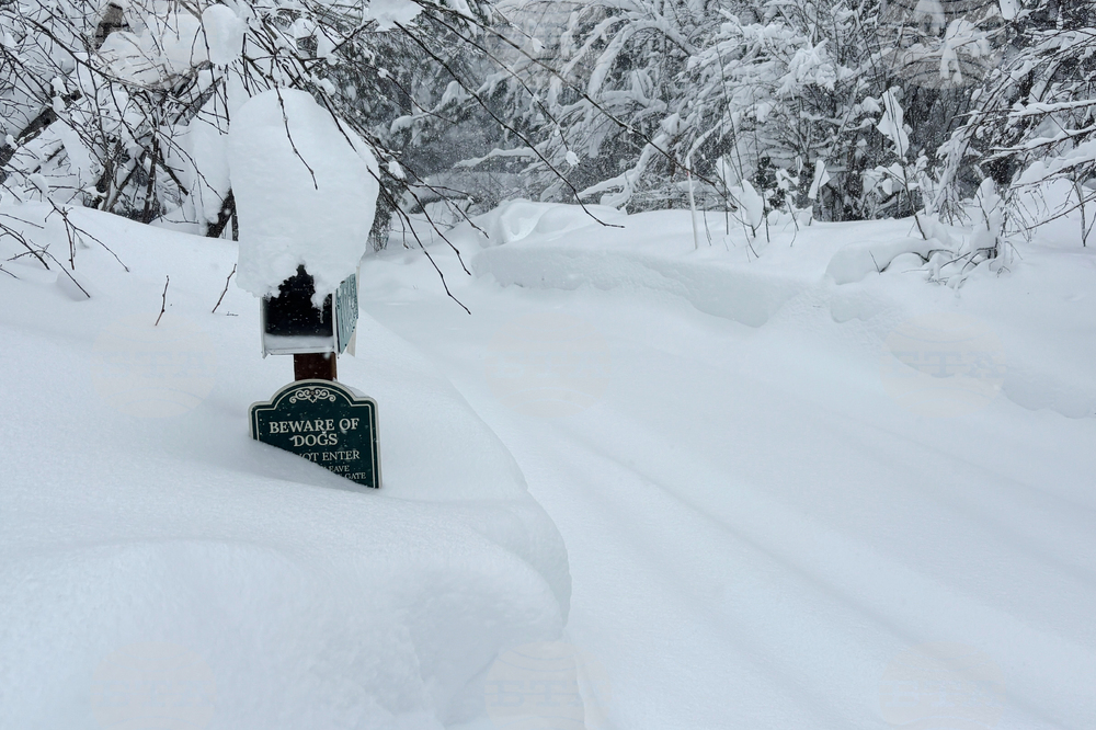 California Avalanche