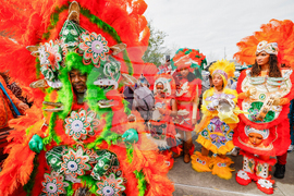 New Orleans Mardi Gras Day