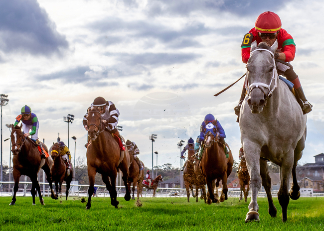 Fair Grounds Horse Racing