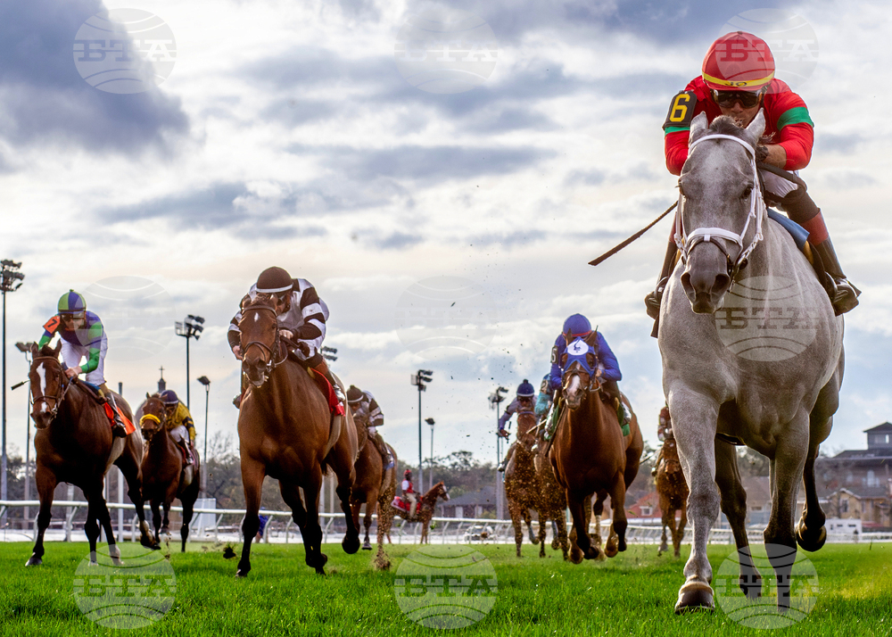 Fair Grounds Horse Racing