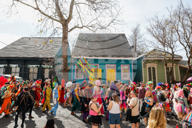 New Orleans Mardi Gras Day