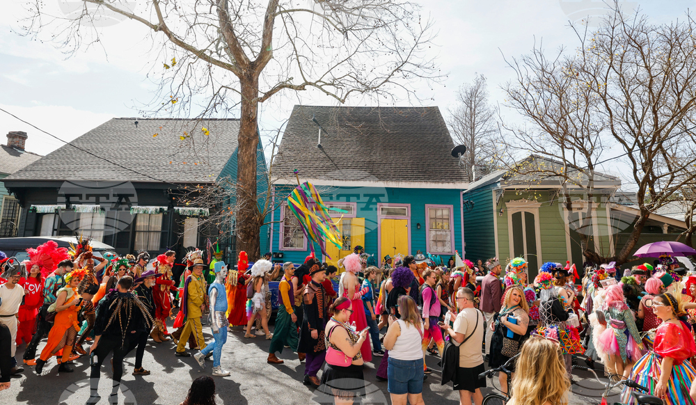 New Orleans Mardi Gras Day