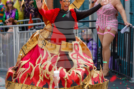 New Orleans Mardi Gras Day