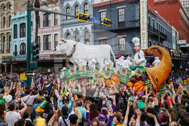 New Orleans Mardi Gras Day
