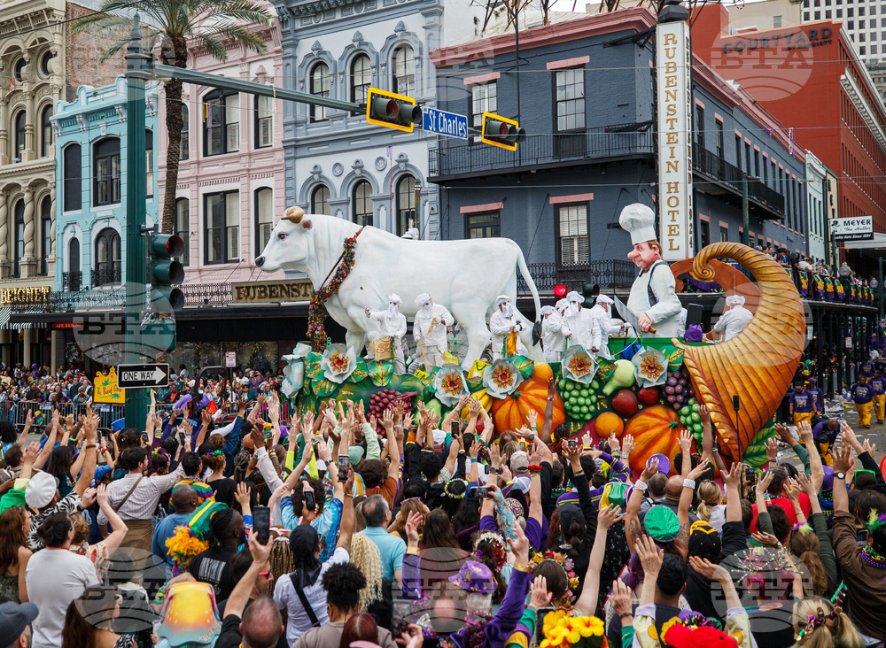 New Orleans Mardi Gras Day