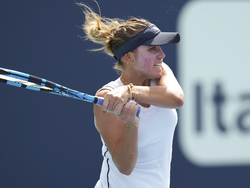 Miami Open Tennis