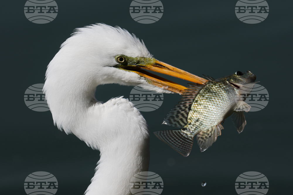 APTOPIX Mexico Daily Life