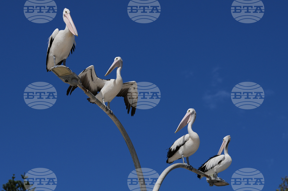 Australia Daily Life