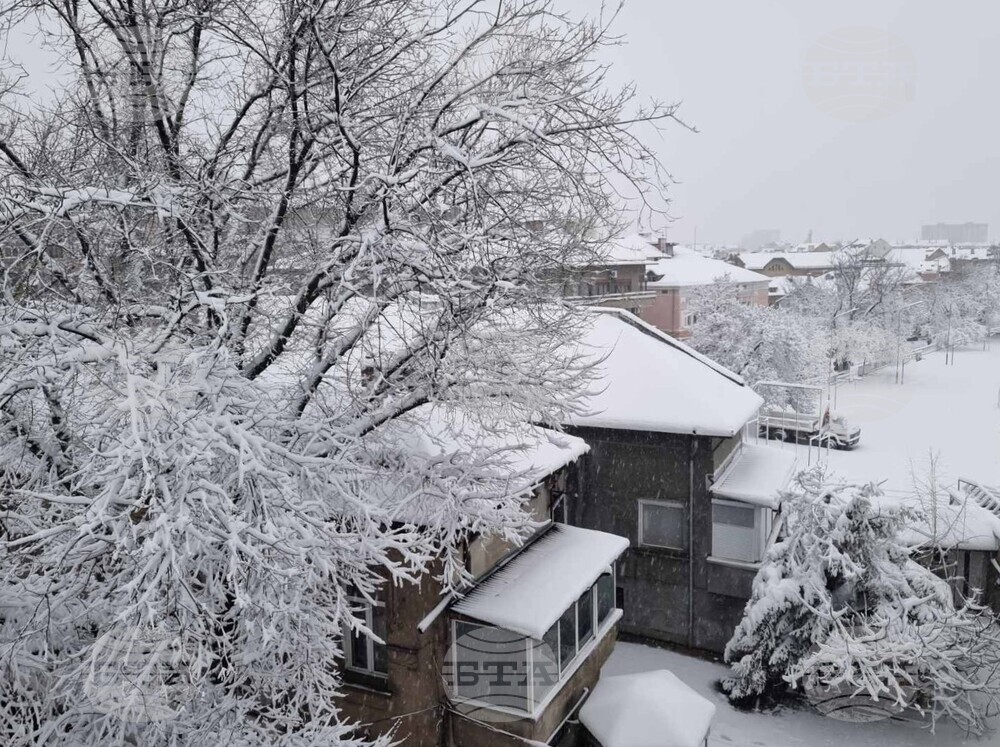 Обилният снеговалеж в Русенско доведе до проблеми с електрозахранването в две общини в областта, има затворени за камиони пътища