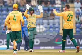 South Africa United Arab Emirates T20 WCup Cricket