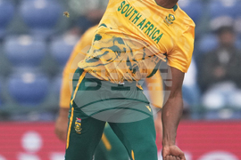 South Africa United Arab Emirates T20 WCup Cricket
