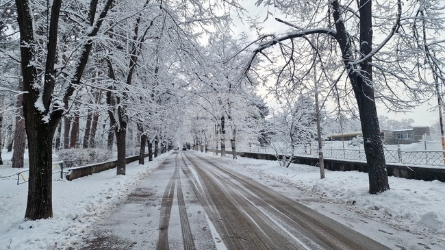 Заради лошото време се отменят учебните занятия в училищата в област Разград