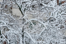 Русе - зимна обстановка