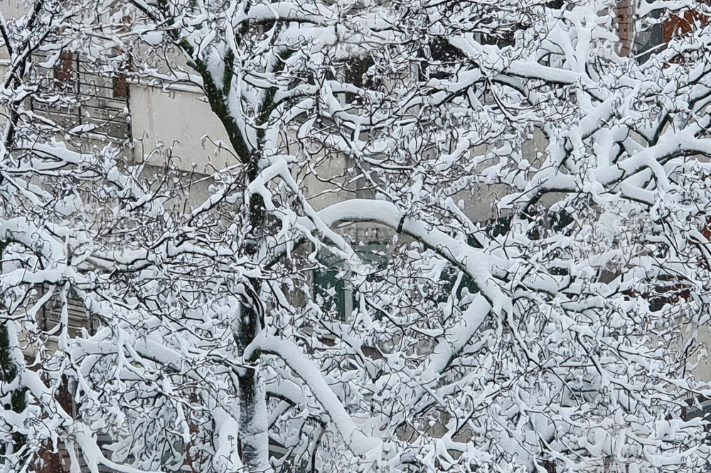 Русе - зимна обстановка