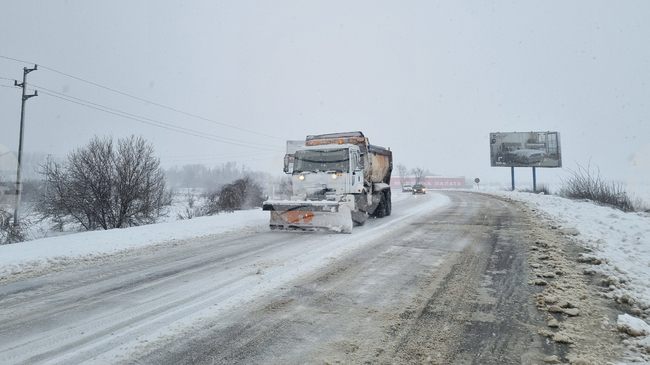 В Поповско работят по отстраняване на паднали дървета от общинската пътна мрежа