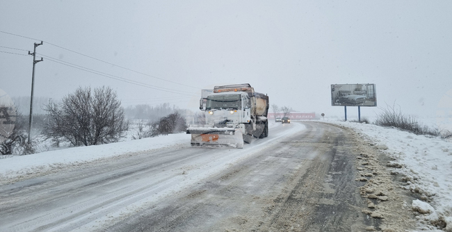 В Поповско работят по отстраняване на паднали дървета от общинската пътна мрежа