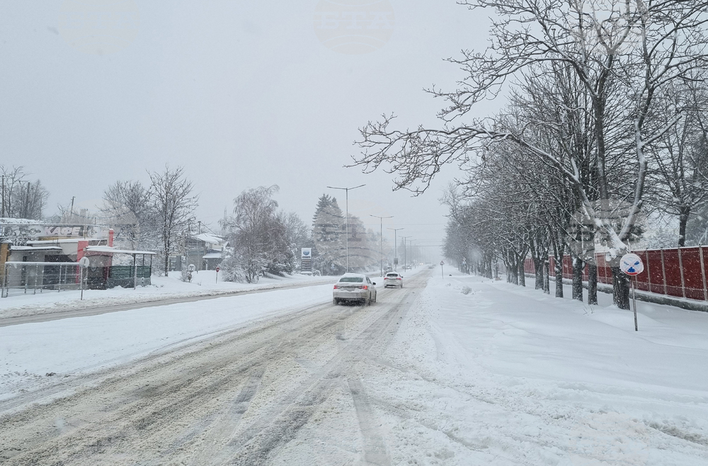 Търговище - снеговалеж - пътища - обстановка