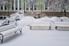 Търговище - снеговалеж - обстановка