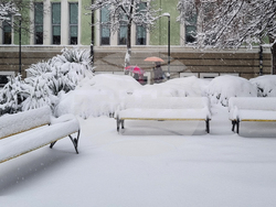 Търговище - снеговалеж - обстановка