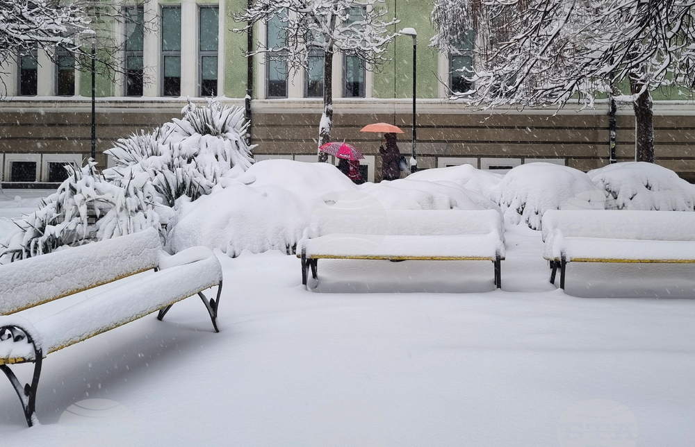 Търговище - снеговалеж - обстановка