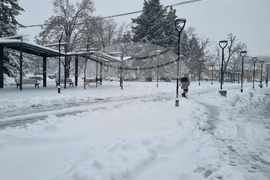 Търговище - снеговалеж - обстановка