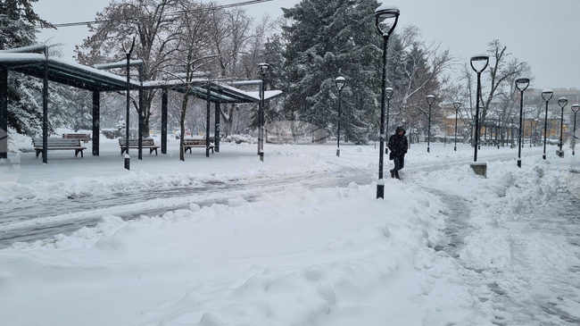 Затворен е пътят Макариополско – Буйново в община Търговище заради снеговалеж и навявания