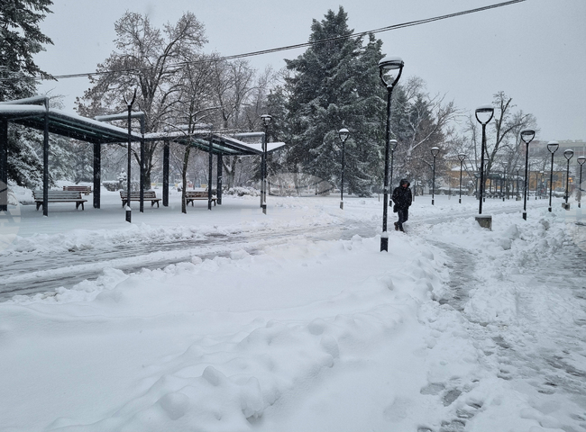 Затворен е пътят Макариополско – Буйново в община Търговище заради снеговалеж и навявания