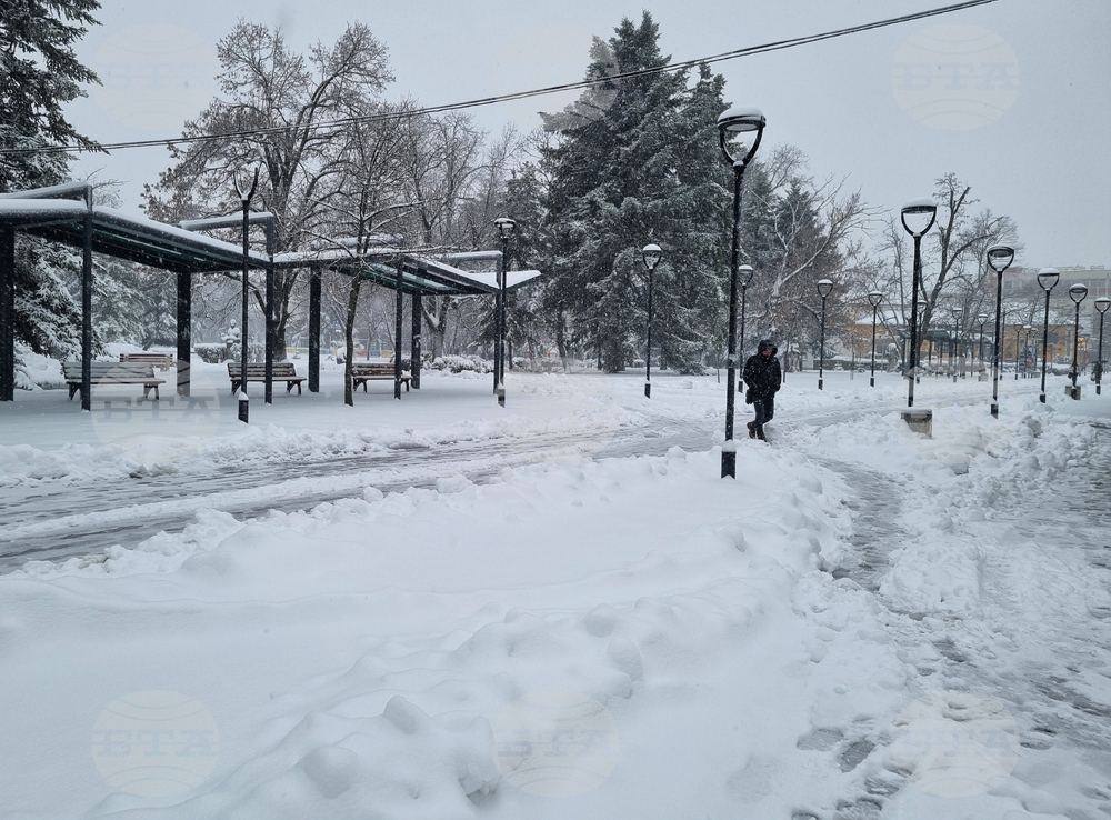 Търговище - снеговалеж - обстановка