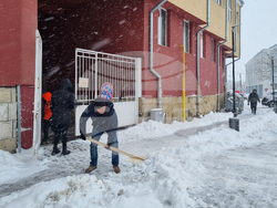 Търговище - снеговалеж - обстановка