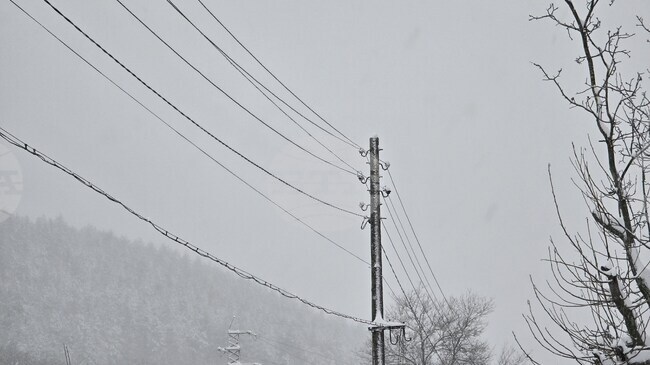 Проблеми с тока има в седем от осемте общини в Ловешка област